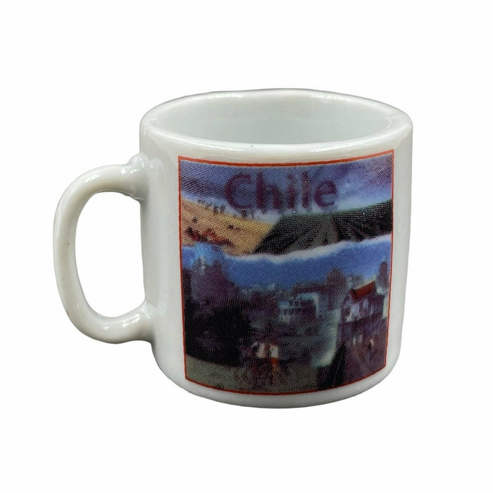 Pack X 12 Tacitas Miniaturas Souvenir Paisajes de Chile