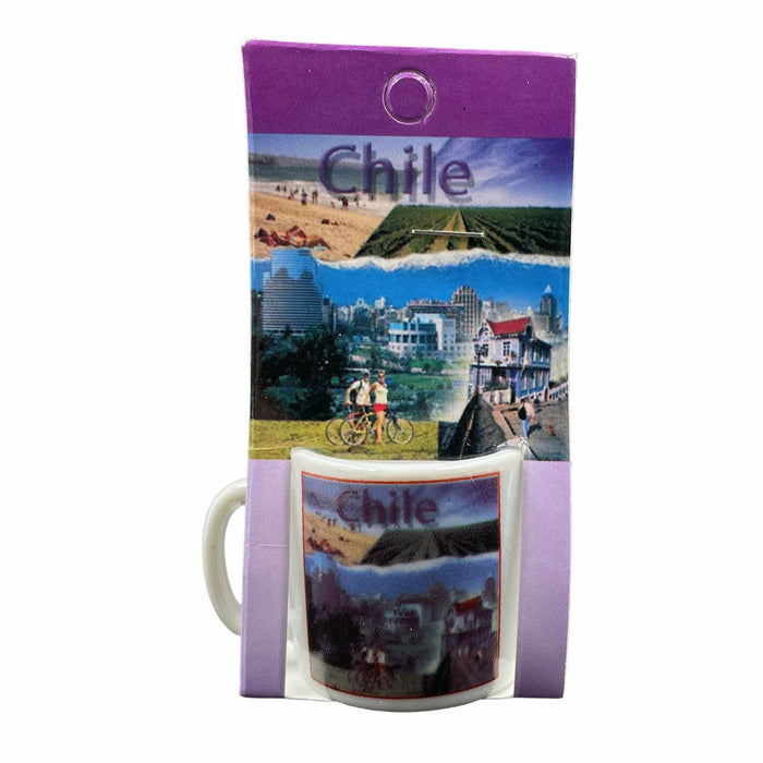 Pack X 12 Tacitas Miniaturas Souvenir Paisajes de Chile